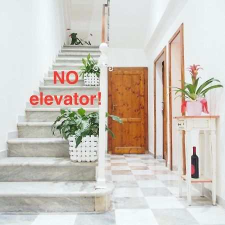 Eco Pisa Tower Guesthouse Exterior foto